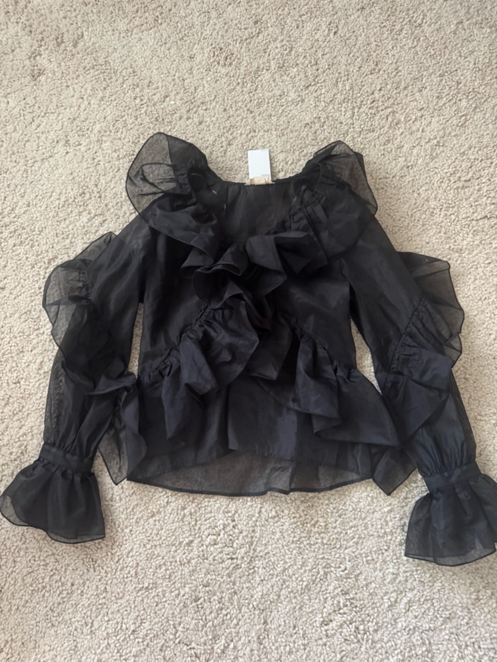 Zara Black Sheer Ruffle Blouse